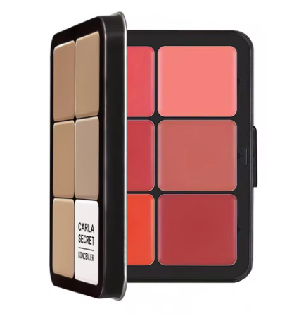 12-Color All-in-One Makeup Palette | Contour, Highlight, Blush & Concealer in One Box